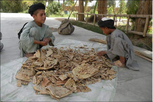 kandahar_children