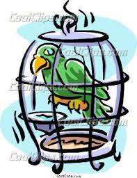 bird in a cage