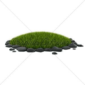 grass-in-the-flower-bed0000