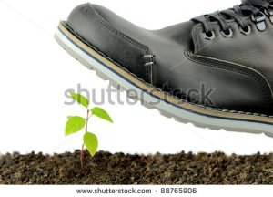stock-photo-sprout-and-careless-step-the-nature-protection-concept-88765906