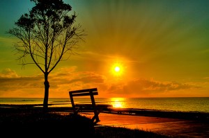 4211153475_4aff189cf0