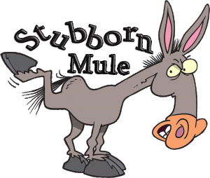 805357313_1351332819