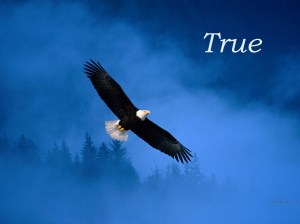 true