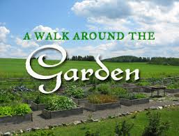 walk around the garden