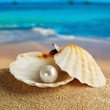 shell
