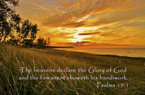 natures-glory-flora-ehrlich