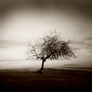 stand_still_by_queen_of_loneless