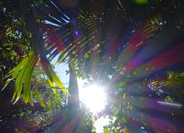 fair a beautiful word