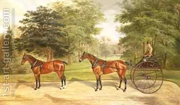 Two-Horses-Harnessed-In-Tandem-Pulling-A-Carriage-1883