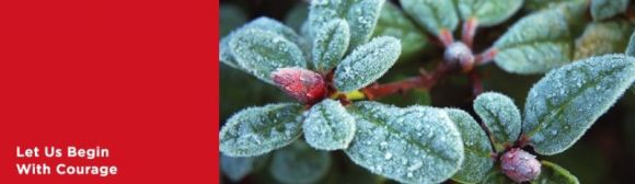 essays_Jeannette_Armstrong_let_us_begin_hero