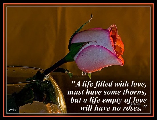 rose and life