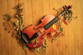 violin